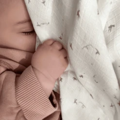 Aden + Anais™ Essential S Zijdezachte Puckdoek 2-pack Healing Nature 120 X 120 C -Kleine Wondertjes aden anais essential s zijdezachte puckdoek 2 pack healing nature 120 x 120 c a383655 4