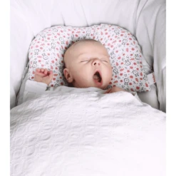 BabyDorm ® Buggykussen BuggyDorm Filou Lichtblauw Met Little Vixen -Kleine Wondertjes babydorm buggykussen buggydorm filou lichtblauw met little vixen a311402 2