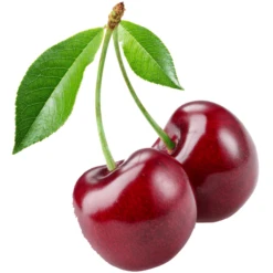 BabyJem Kersenpit Verwarmingsgordel Blauw -Kleine Wondertjes babyjem kersenpit verwarmingsgordel blauw a281788 4