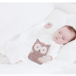 BabyJem Kersenpitkussen Uil, Roze 9 BabyJem Kersenpitkussen Uil, Roze -Kleine Wondertjes babyjem kersenpitkussen uil roze a373742 4