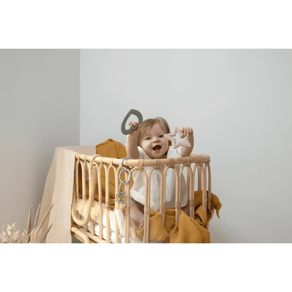 BIBS® Bijtring Baby Bitie Heart Vanaf 3 Maanden In Salie 2 BIBS® Bijtring Baby Bitie Heart Vanaf 3 Maanden In Salie - Afbeelding 2