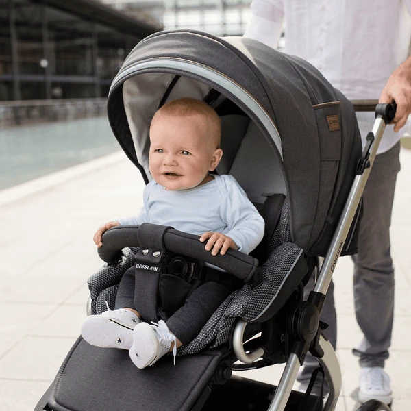 GESSLEIN Combi Kinderwagen F10 Air+, Antraciet / Patroon 2 GESSLEIN Combi Kinderwagen F10 Air+, Antraciet / Patroon - Afbeelding 2