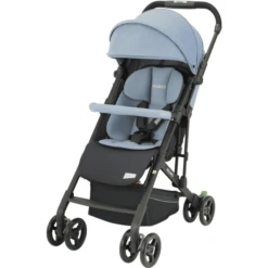 RECARO Buggy Easylife Elite 2 Prime Frozen Blauw