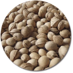 THERALINE Kersenpittenkussen 19 X 19 Cm Gestipt Grijs 7 THERALINE Kersenpittenkussen 19 X 19 Cm Gestipt Grijs -Kleine Wondertjes theraline kersenpittenkussen 19 x 19 cm gestipt grijs a272468 2