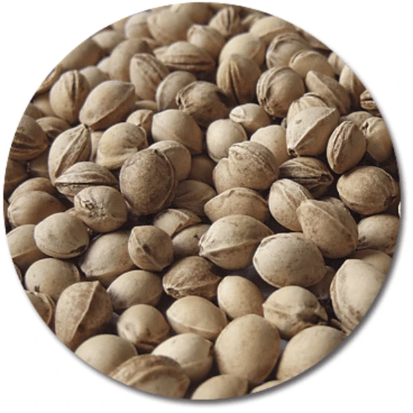 THERALINE Kersenpittenkussen 23 X 26 Cm Gestipt Grijs 3 THERALINE Kersenpittenkussen 23 X 26 Cm Gestipt Grijs - Afbeelding 3